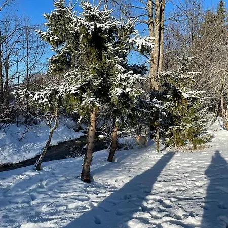 Biberweg Im Reichenbach 13 Nesselwang