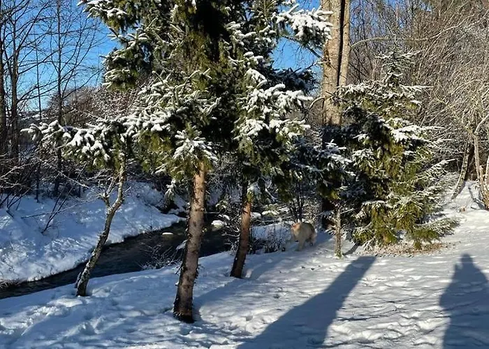 Biberweg Im Reichenbach 13 Nesselwang